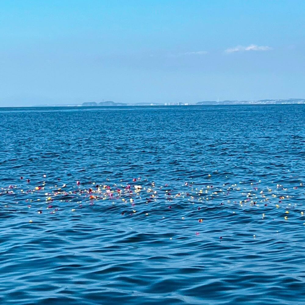 海に浮かぶ花びら